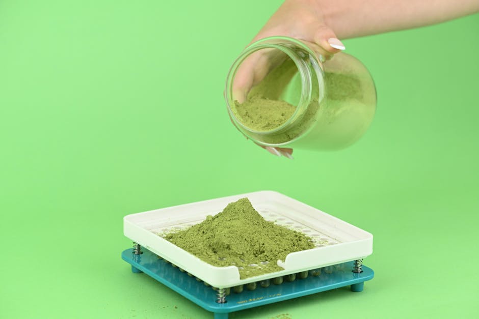 Bonsenkitchen Vacuum Bags vs Immersion Blender 2026: Kitchen Efficiency for Meal Preppers
