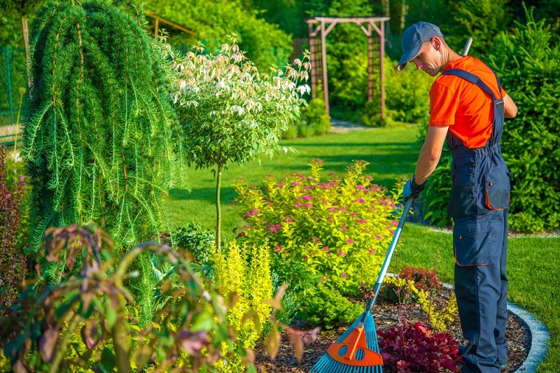 Time to Get Busy in the Garden!