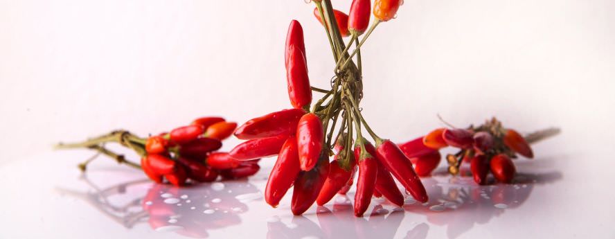 Can You Retrain Your Taste Buds?