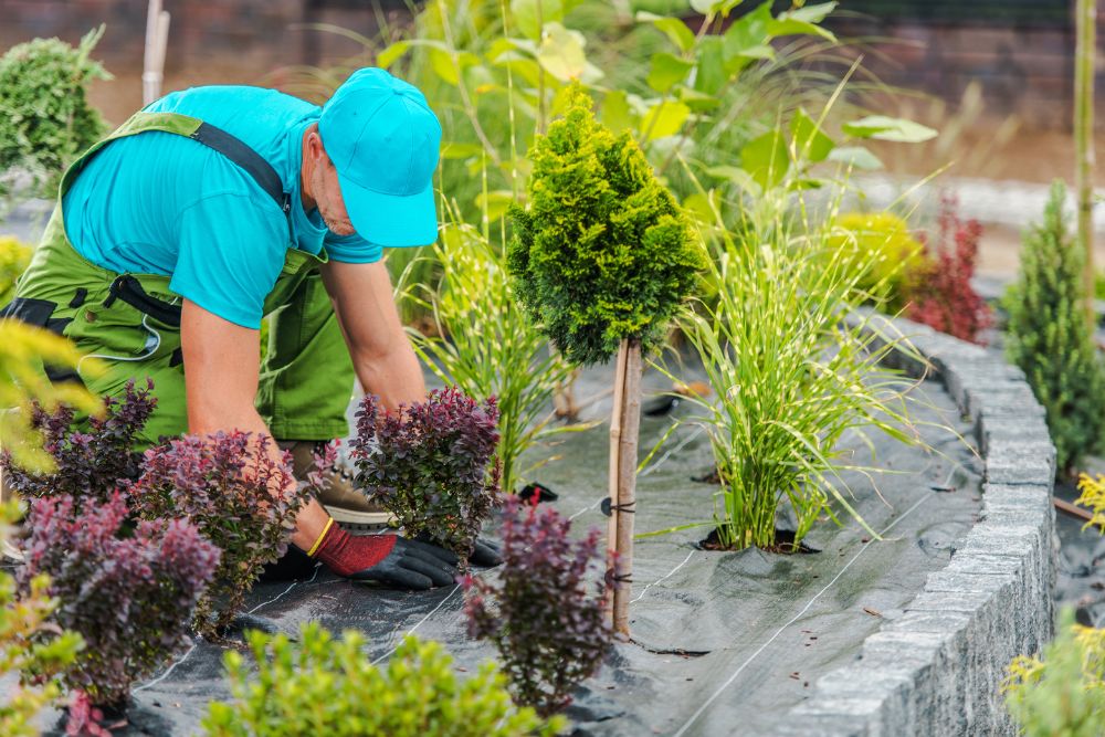 How to Landscape with Rocks and Stones in Your Yard