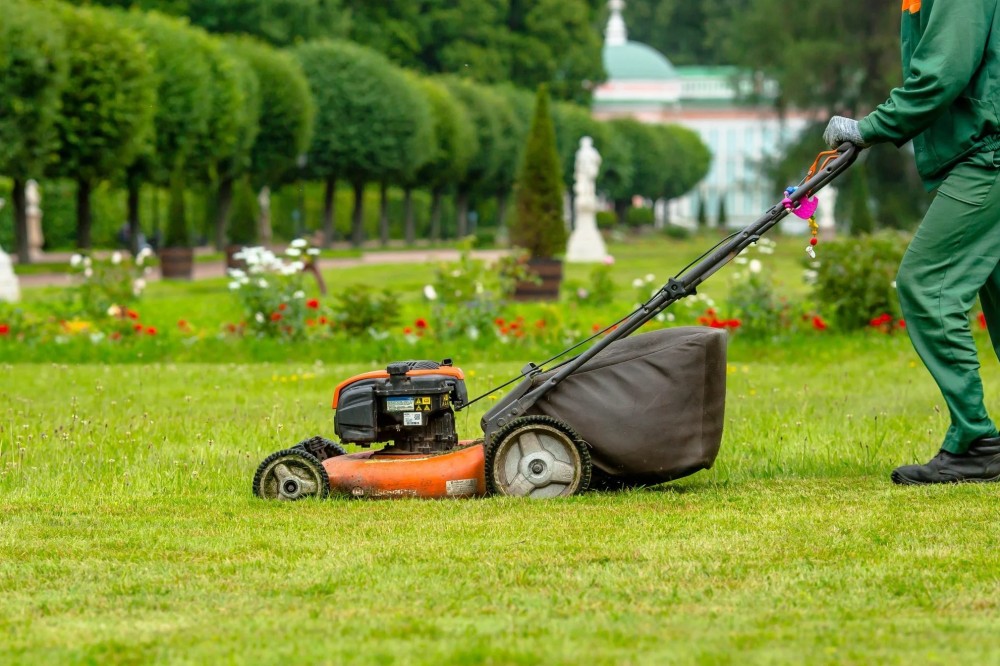 How to Choose the Right Lawnmower for Your Garden