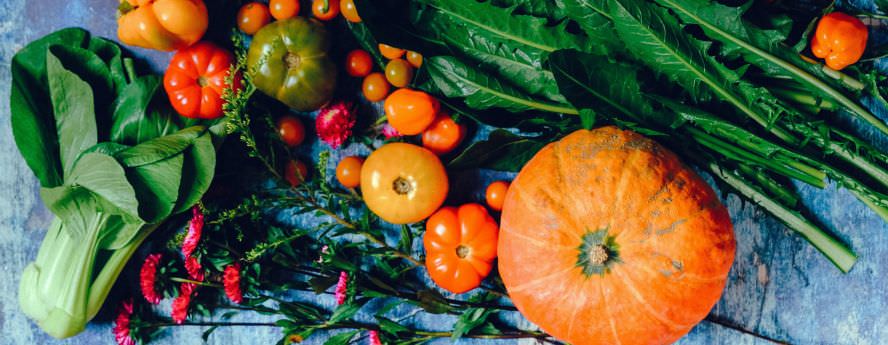 Best of Autumn – Healthy Food You Can Try This Season